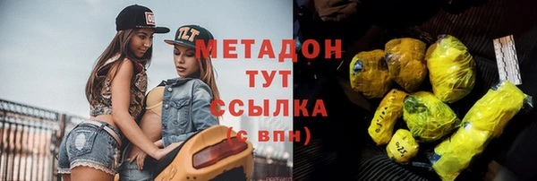 гашик Алексин