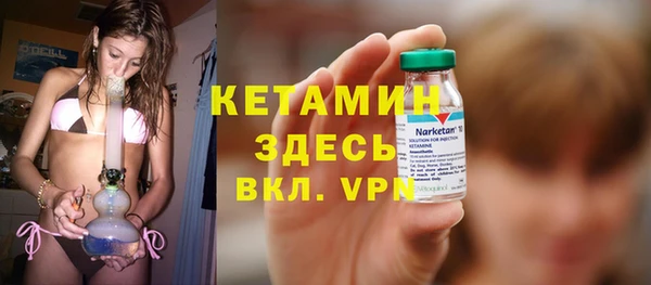 гашик Алексин