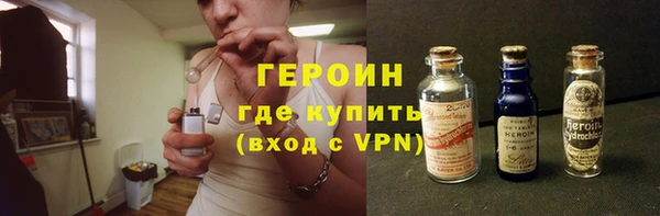 гашик Алексин