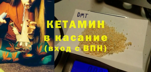 гашик Алексин